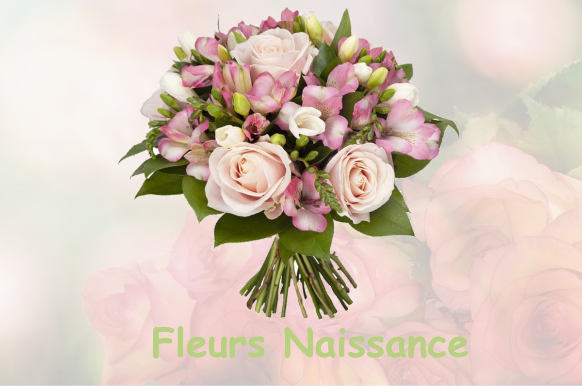 fleurs naissance SAINT-HAON-LE-VIEUX